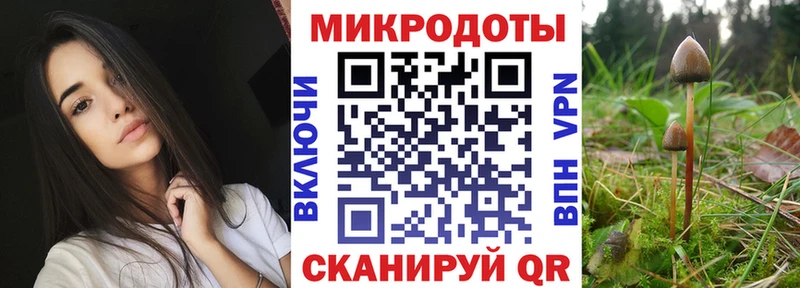 Галлюциногенные грибы GOLDEN TEACHER  Купить  Липецк 
