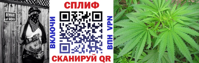 Купить где  Липецк  Конопля индика